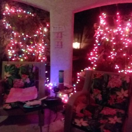 Catmosphere Las Vegas Luaran gambar