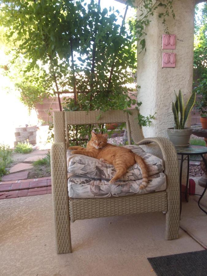 Catmosphere Las Vegas Luaran gambar