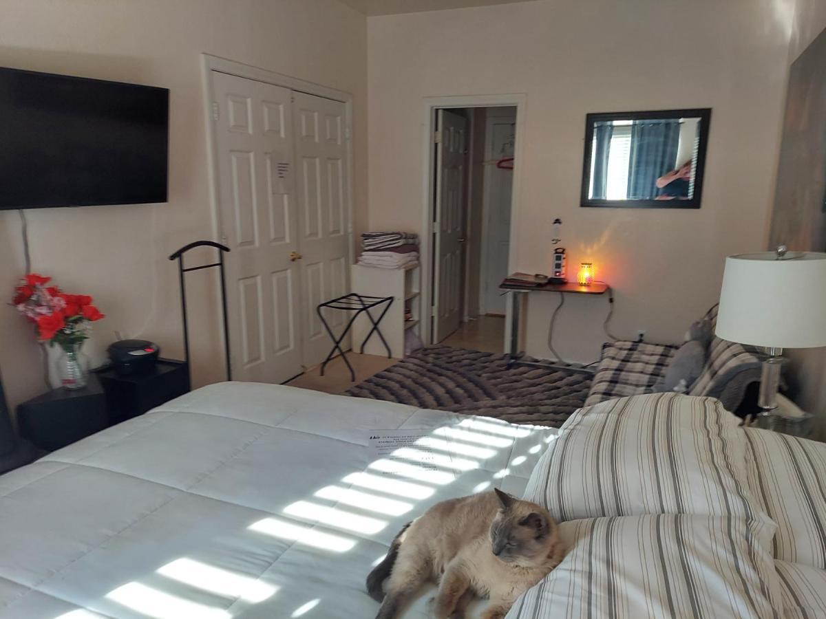 Catmosphere Las Vegas Luaran gambar