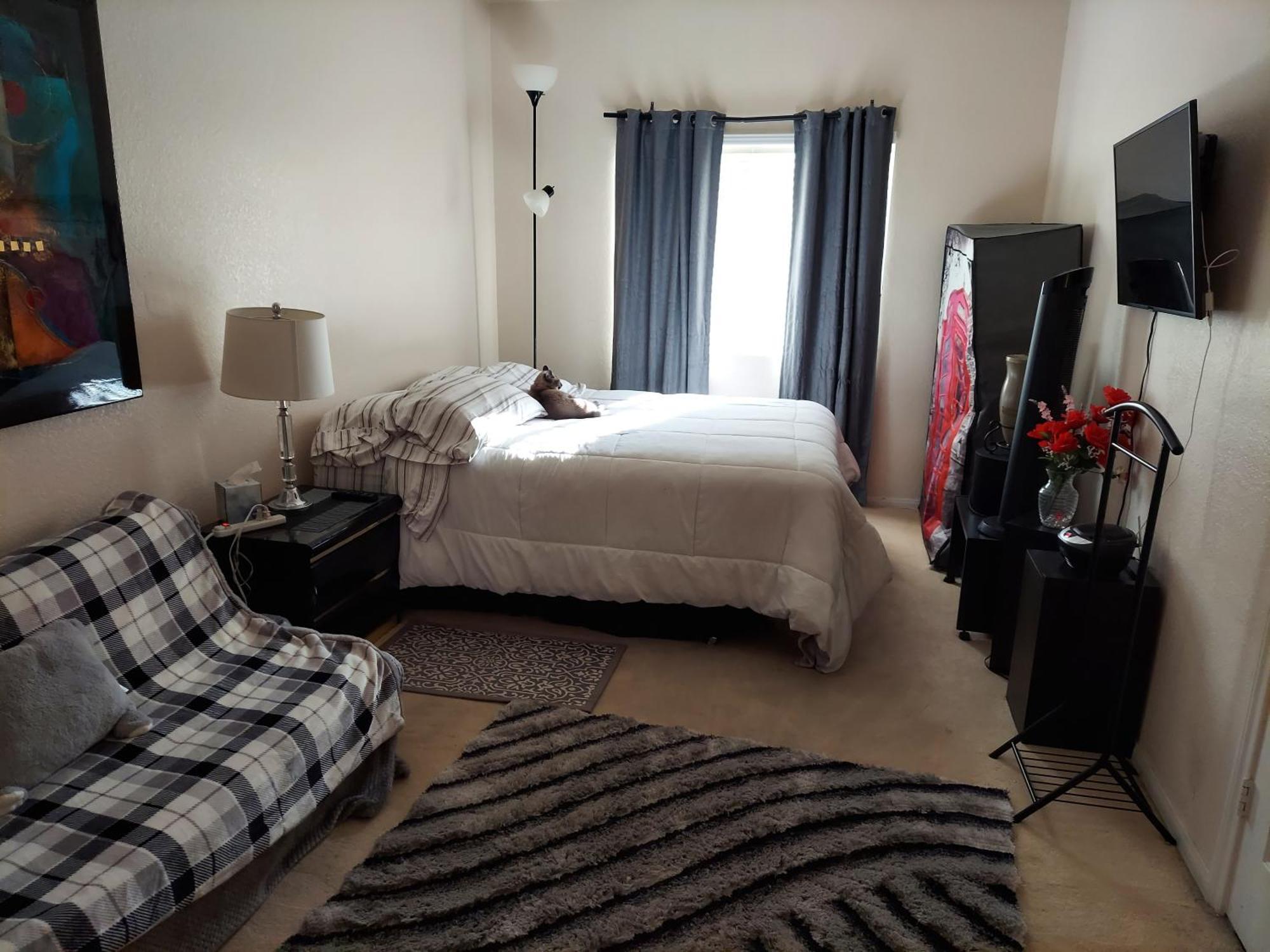 Catmosphere Las Vegas Bilik gambar